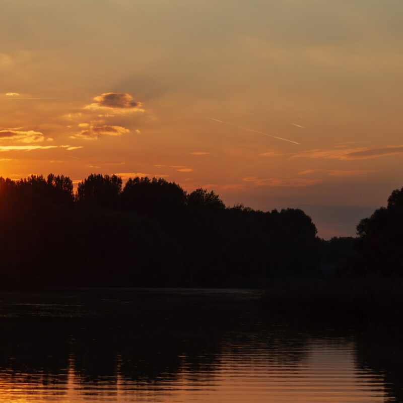 Az utolsó sugarak ritmusa